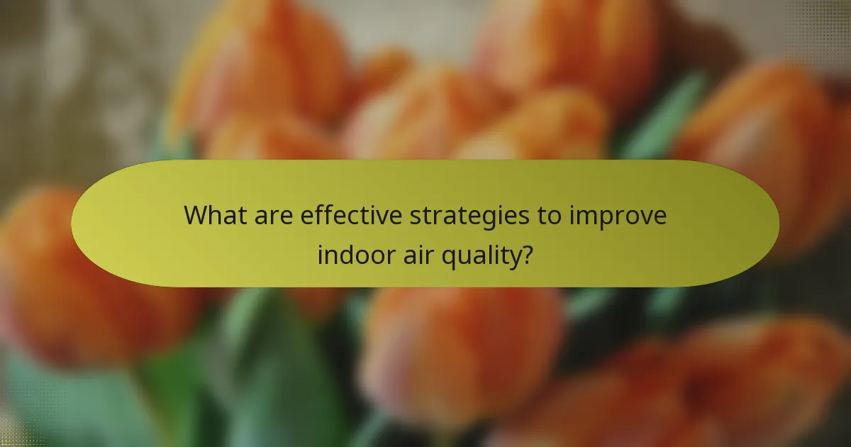 What are effective strategies to improve indoor air quality?