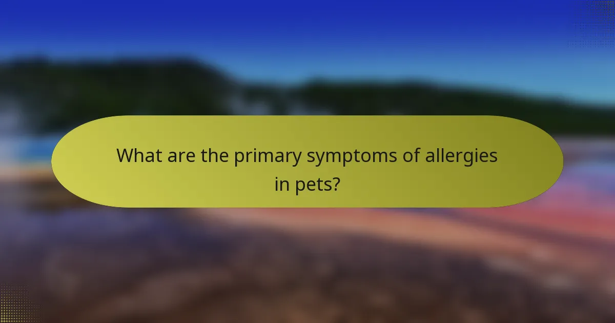 What are the primary symptoms of allergies in pets?